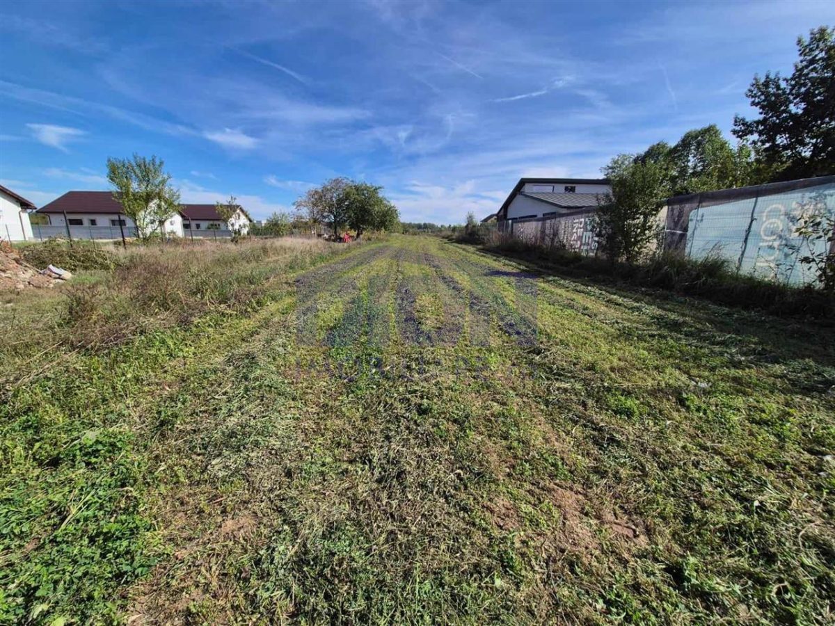 Izvorani -strada Gradinarilor Teren intravilan COMISION% - foto 5