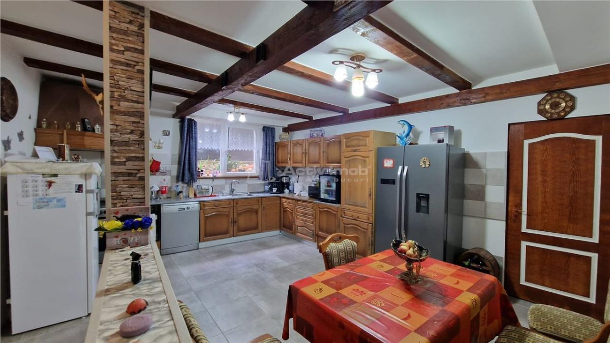 Resita Casa mare Dealul Mare pentru 2 Familii - foto 2