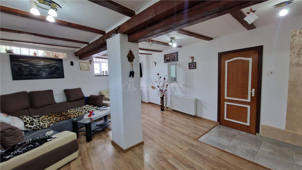 Resita Casa mare Dealul Mare pentru 2 Familii - foto 16