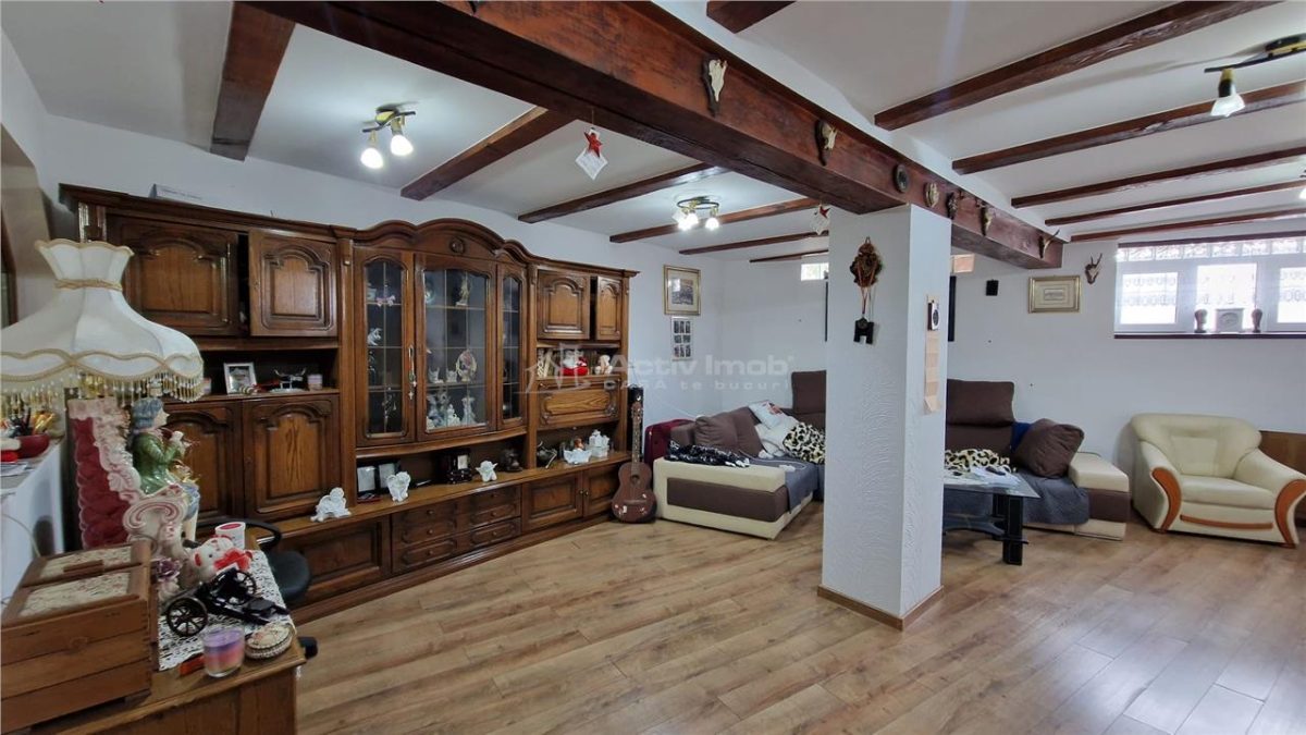 Resita Casa mare Dealul Mare pentru 2 Familii - foto 18