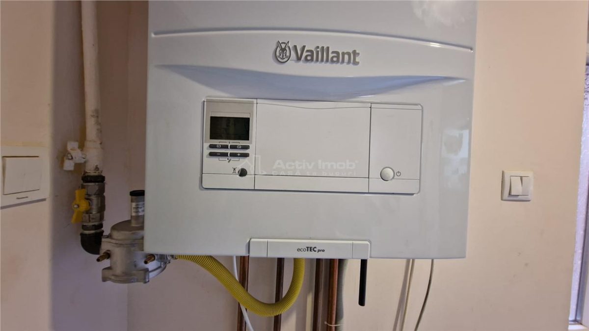 Resita Casa mare Dealul Mare pentru 2 Familii - foto 9