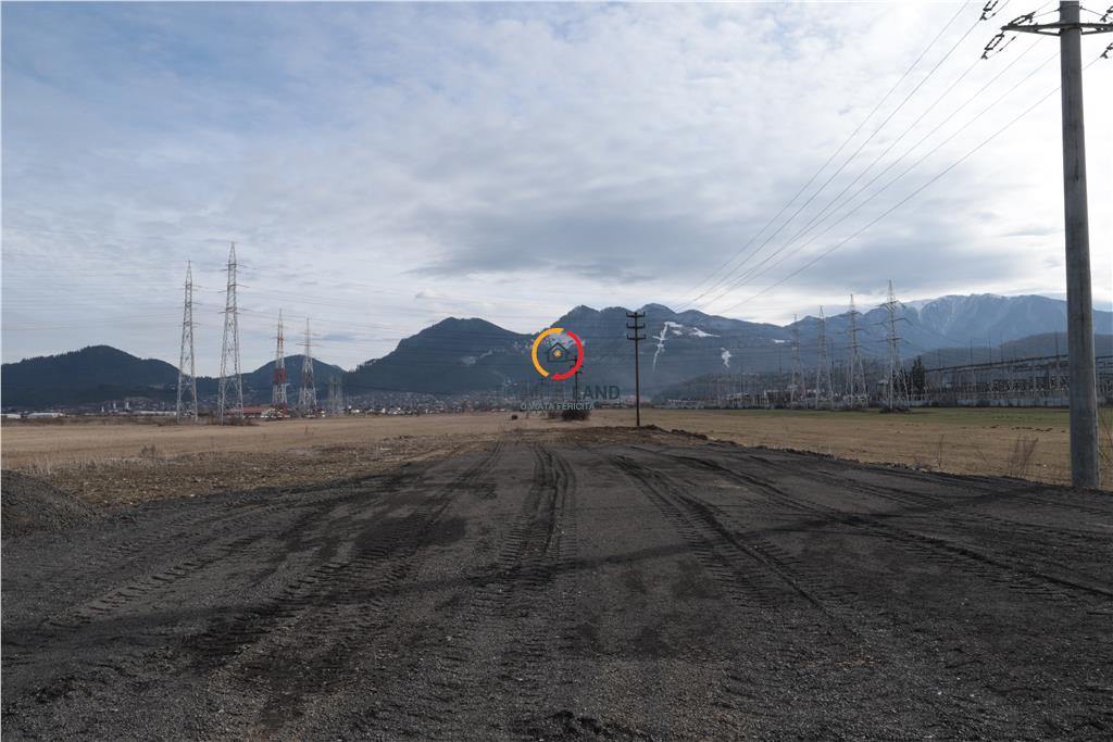 Teren  pentru constructii industriale 4.800 mp - 