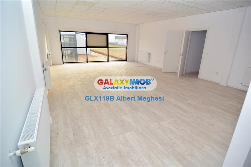 Hale Industriale Centura Rudeni Chitila Centura 415 mp/978 mp - foto 25