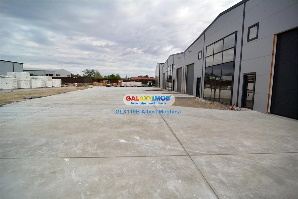 Hale Industriale Centura Rudeni Chitila Centura 415 mp/978 mp - foto 11