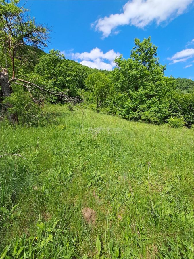 Teren  langa padure de vanzare - foto 3