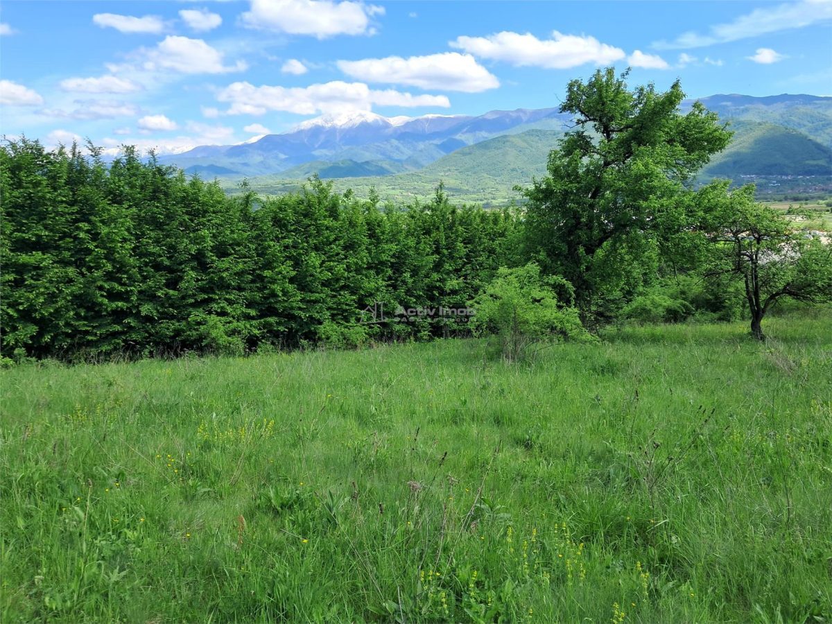 Teren  langa padure de vanzare - foto 4