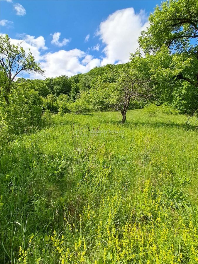 Teren  langa padure de vanzare - foto 5