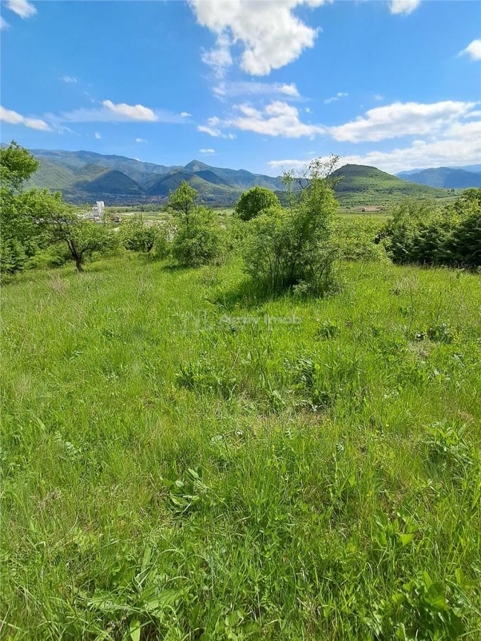 Teren  langa padure de vanzare - foto 6