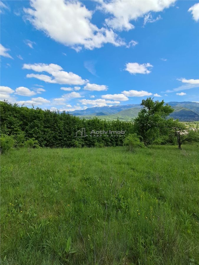 Teren  langa padure de vanzare - foto 7