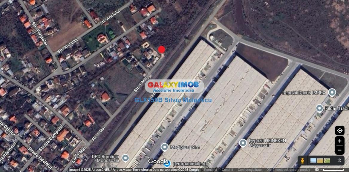 Mogosoaia 1.031 Mp str. 1 Mai - foto 3