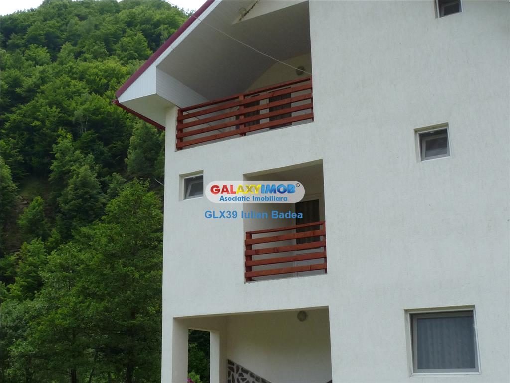 Pensiune de vanzare zona Voineasa - jud. Valcea - foto 3