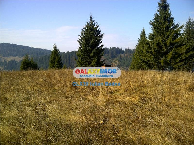 Teren pentru Complex Turistic - 12 730 mp  - Vatra Dornei - Vatra Dornei