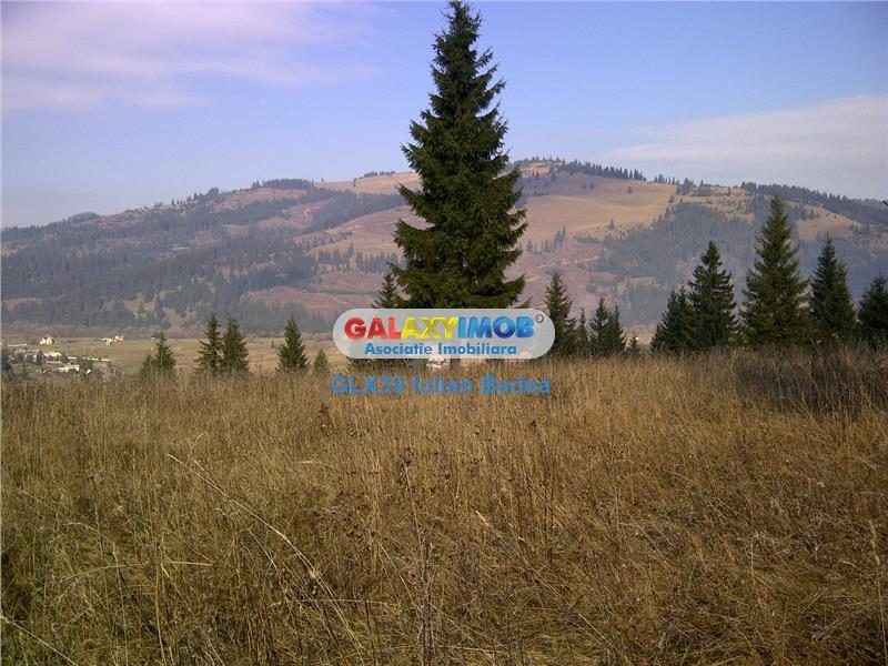 Teren pentru Complex Turistic - 12 730 mp  - Vatra Dornei - foto 2