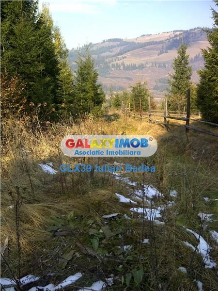 Teren pentru Complex Turistic - 12 730 mp  - Vatra Dornei - foto 11