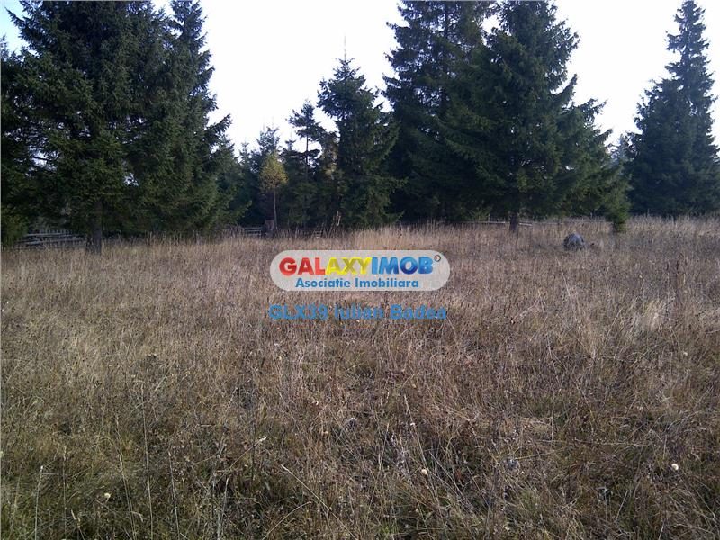 Teren pentru Complex Turistic - 12 730 mp  - Vatra Dornei - foto 4