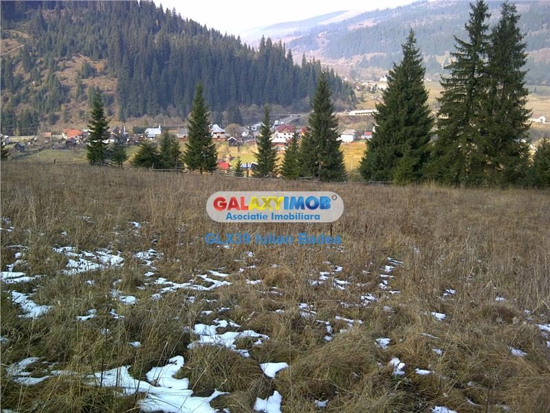 Teren pentru Complex Turistic - 12 730 mp  - Vatra Dornei - foto 5