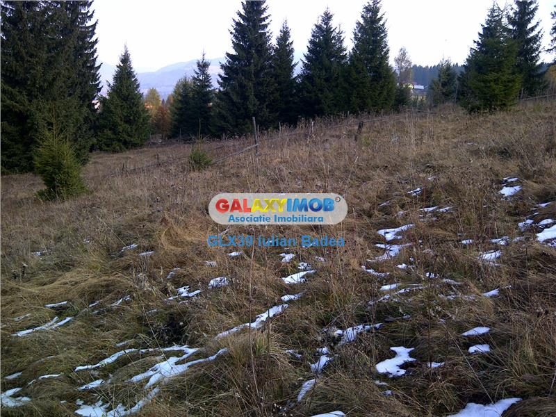 Teren pentru Complex Turistic - 12 730 mp  - Vatra Dornei - foto 6