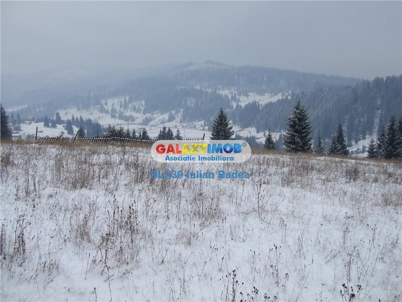 Teren pentru Complex Turistic - 12 730 mp  - Vatra Dornei - foto 7