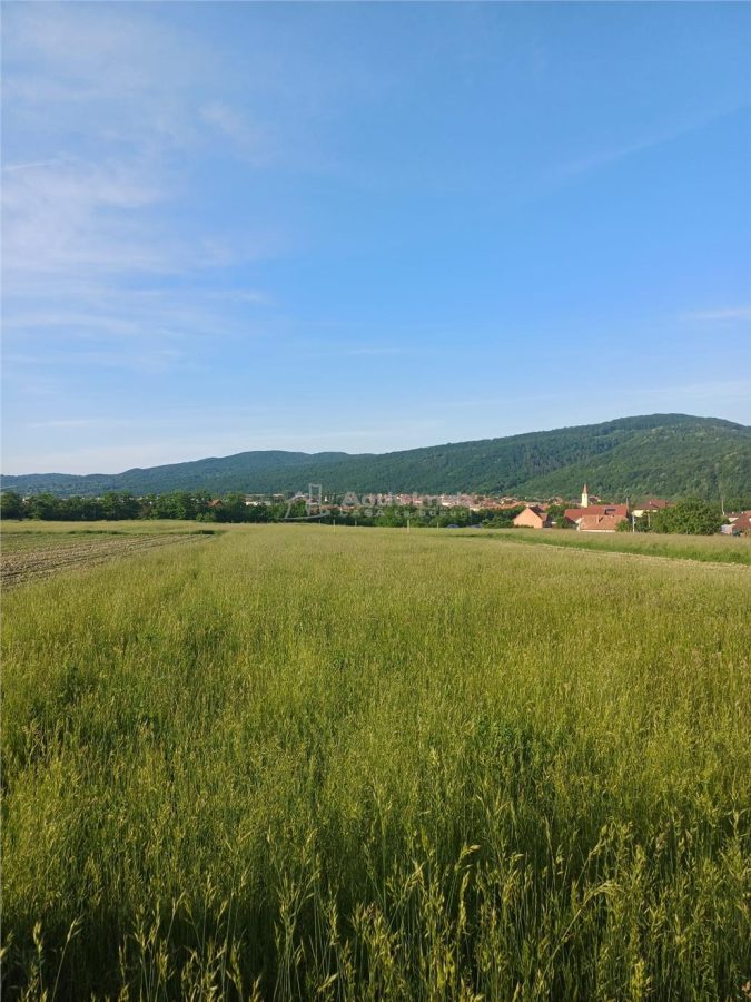 Teren intravilan de vanzare cartier Armeni - 