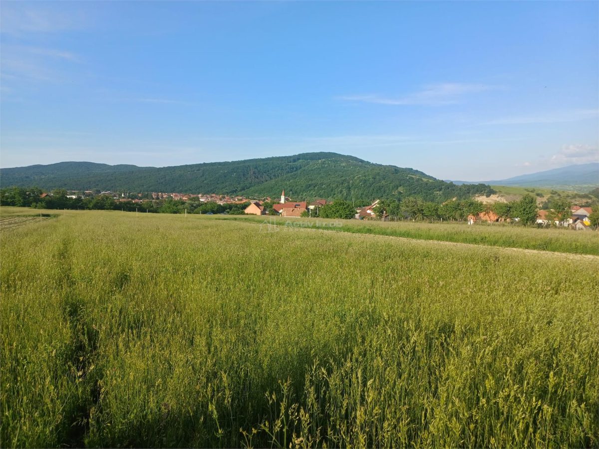 Teren intravilan de vanzare cartier Armeni - foto 2