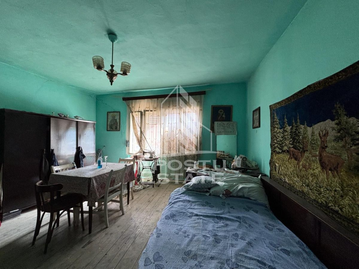 Casa cu 5 camere, 777 mp teren la MOLDOVA VECHE, ideal casa de vacanta - foto 11