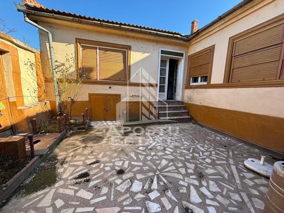 Casa cu 5 camere, 777 mp teren la MOLDOVA VECHE, ideal casa de vacanta - foto 8