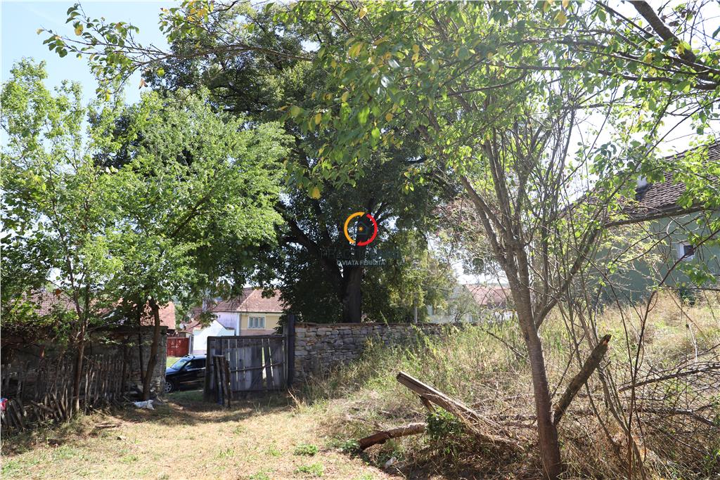 casa traditionala Bruiu Somartin judet Sibiu - foto 11