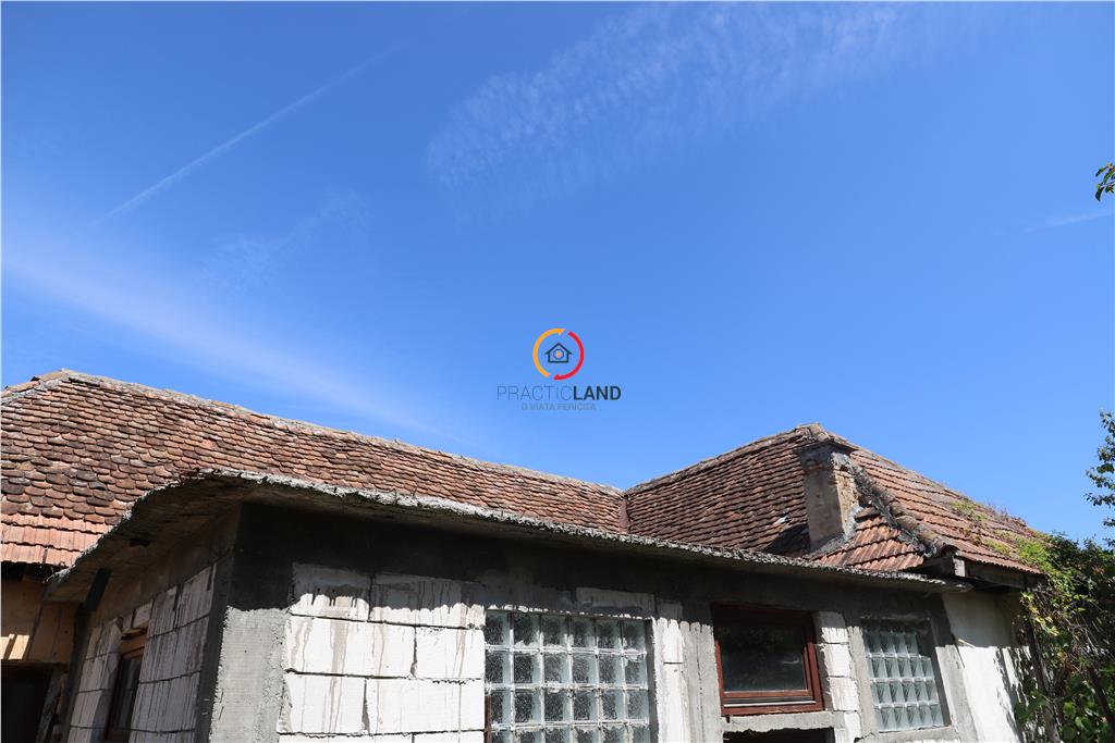 casa traditionala Bruiu Somartin judet Sibiu - foto 13