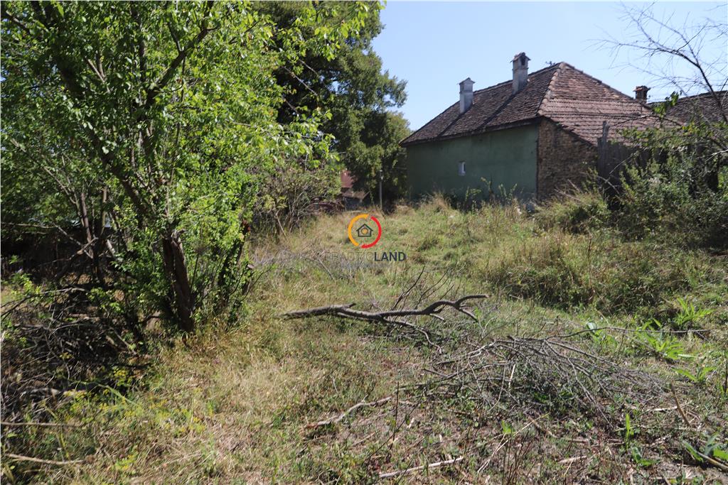 casa traditionala Bruiu Somartin judet Sibiu - foto 16