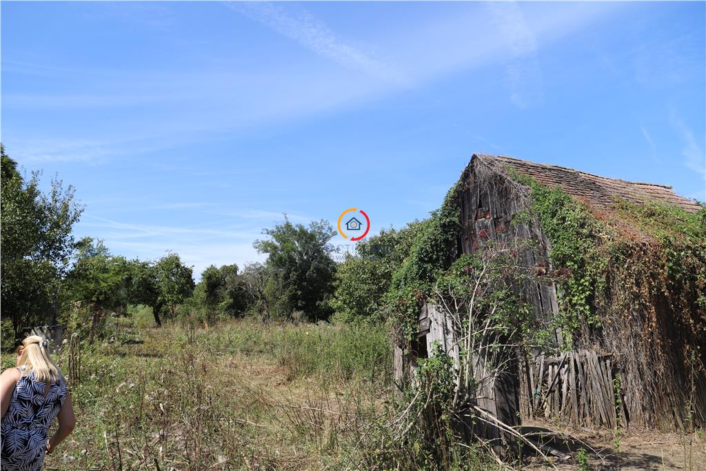 casa traditionala Bruiu Somartin judet Sibiu - foto 17