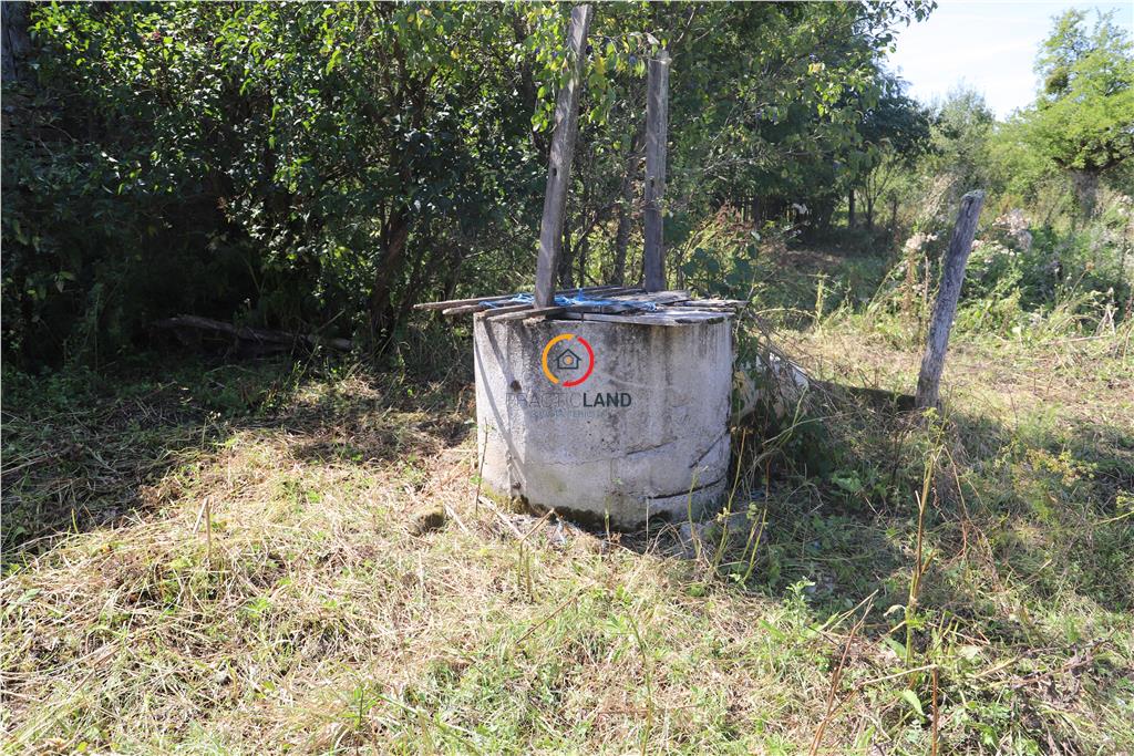 casa traditionala Bruiu Somartin judet Sibiu - foto 18