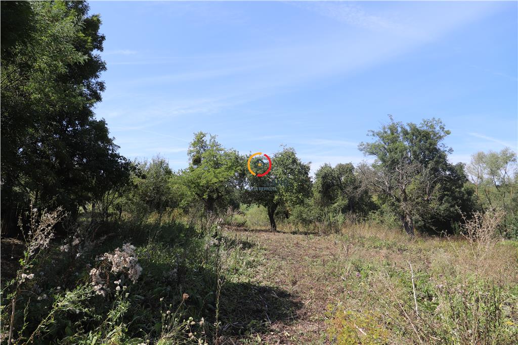 casa traditionala Bruiu Somartin judet Sibiu - foto 19
