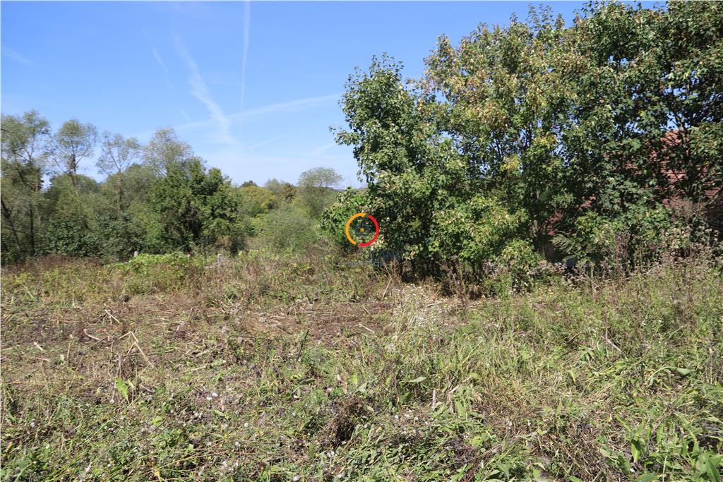 casa traditionala Bruiu Somartin judet Sibiu - foto 20