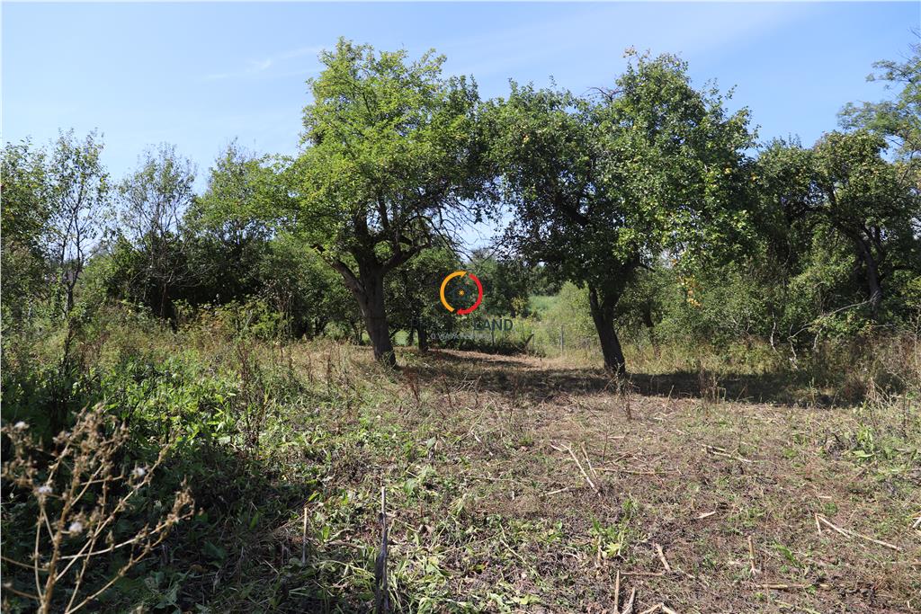 casa traditionala Bruiu Somartin judet Sibiu - foto 21