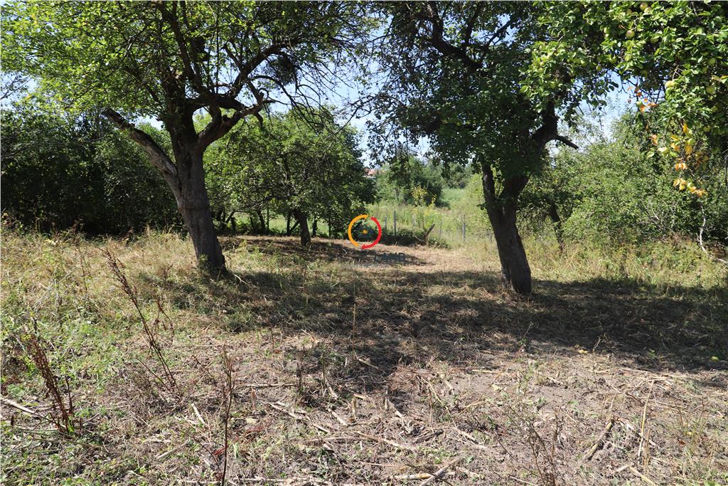 casa traditionala Bruiu Somartin judet Sibiu - foto 22