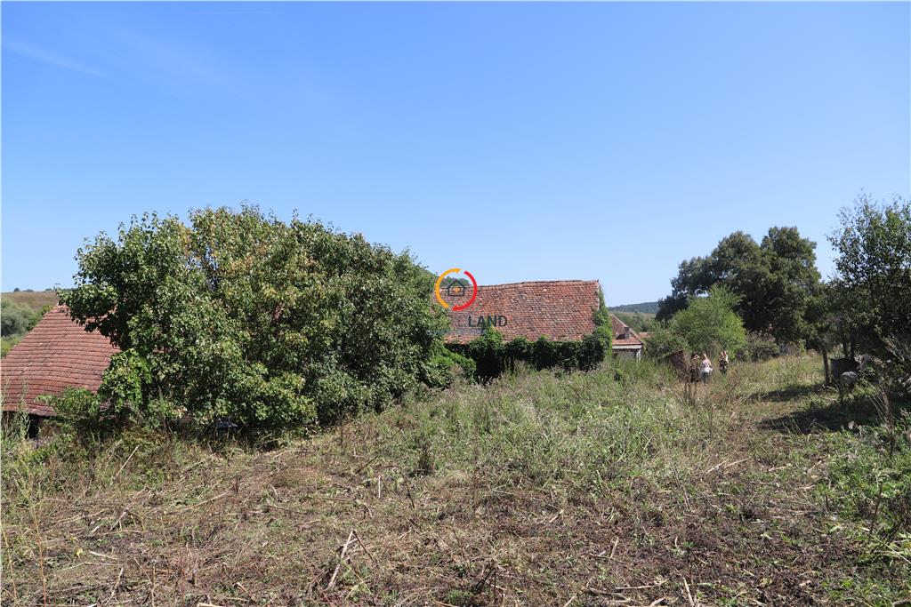 casa traditionala Bruiu Somartin judet Sibiu - foto 23