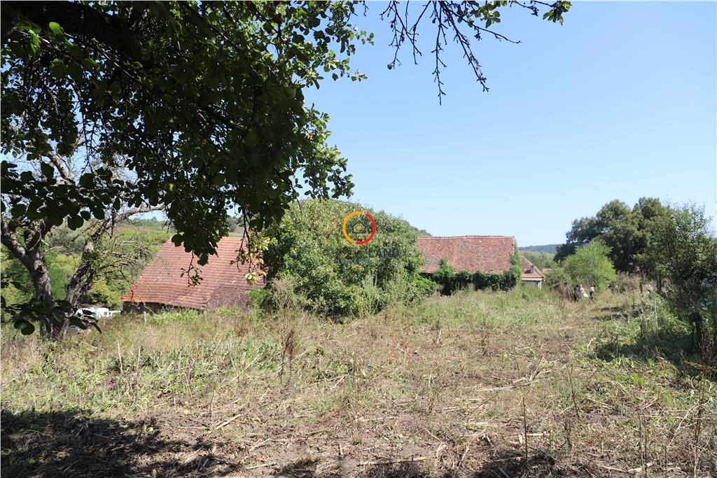 casa traditionala Bruiu Somartin judet Sibiu - foto 24