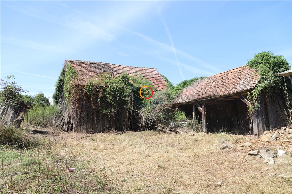 casa traditionala Bruiu Somartin judet Sibiu - foto 25