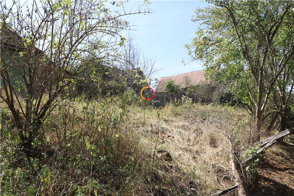 casa traditionala Bruiu Somartin judet Sibiu - foto 8