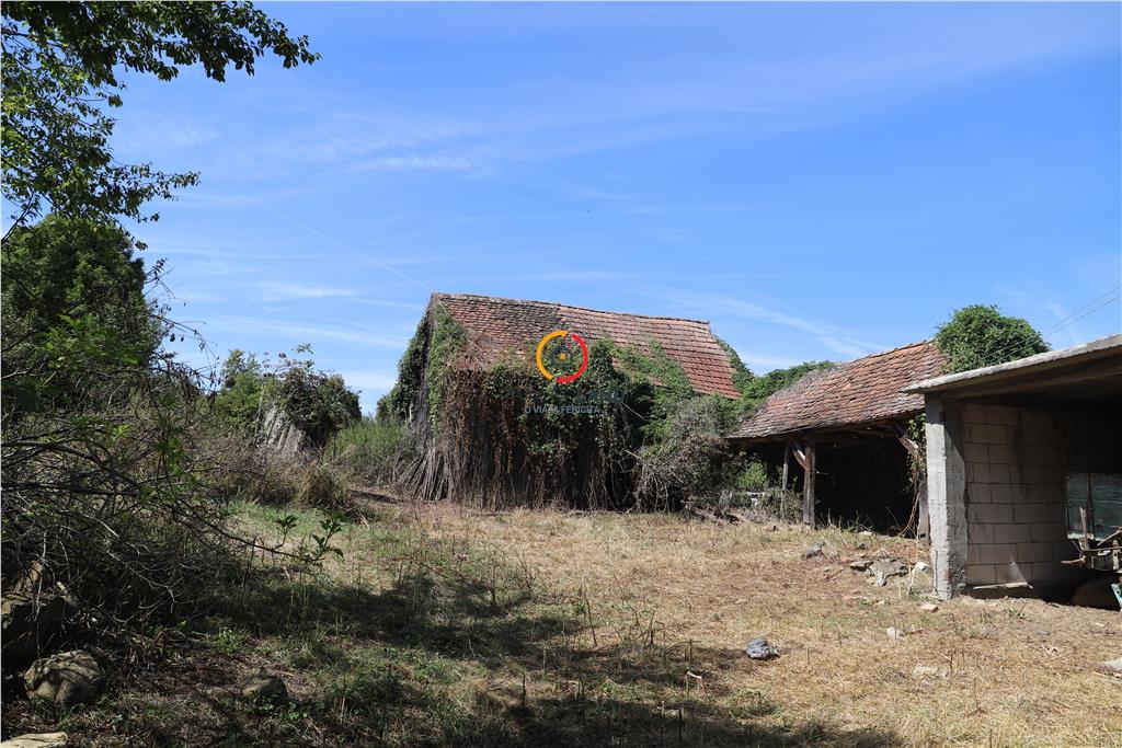casa traditionala Bruiu Somartin judet Sibiu - foto 10