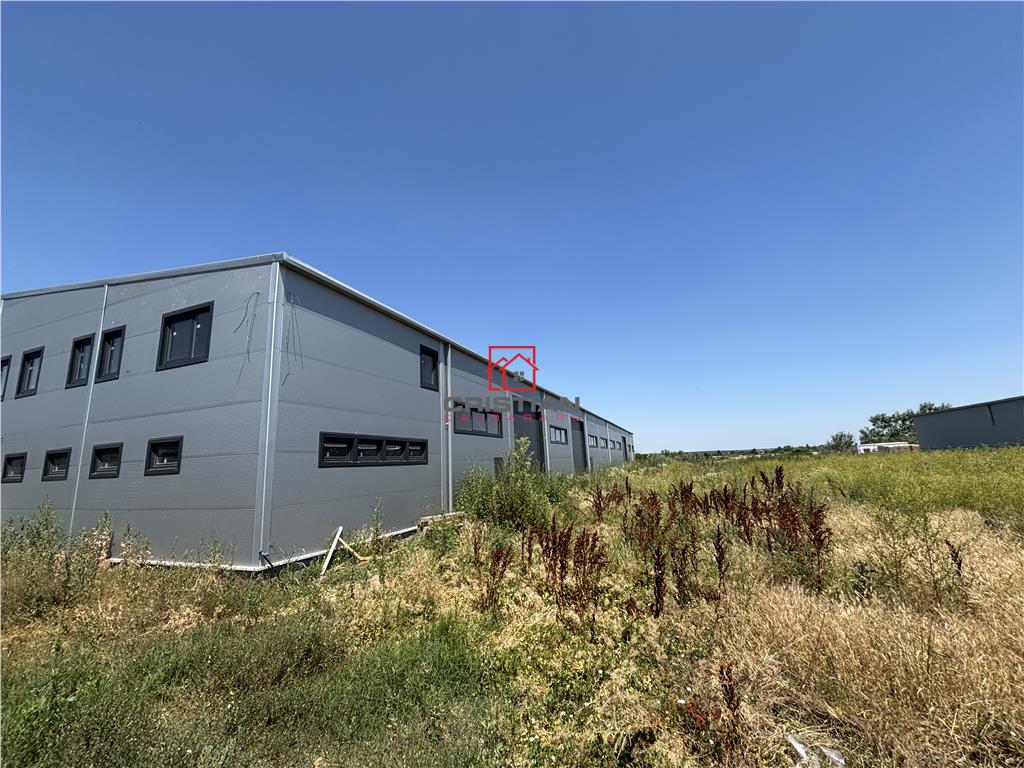 Inchiriere depozit/hala/spatiu industrial Chitila - Oxigenului, ILFOV - foto 3