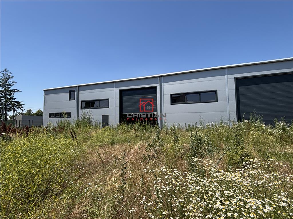 Inchiriere depozit/hala/spatiu industrial Chitila - Oxigenului, ILFOV - foto 4