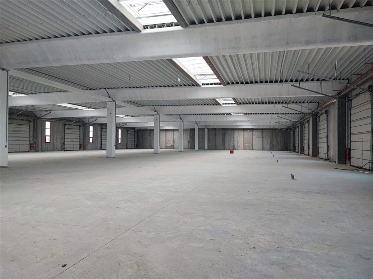 Hala 600 mp - Chitila - unica in jud. IF, dedicata IMM. - foto 8