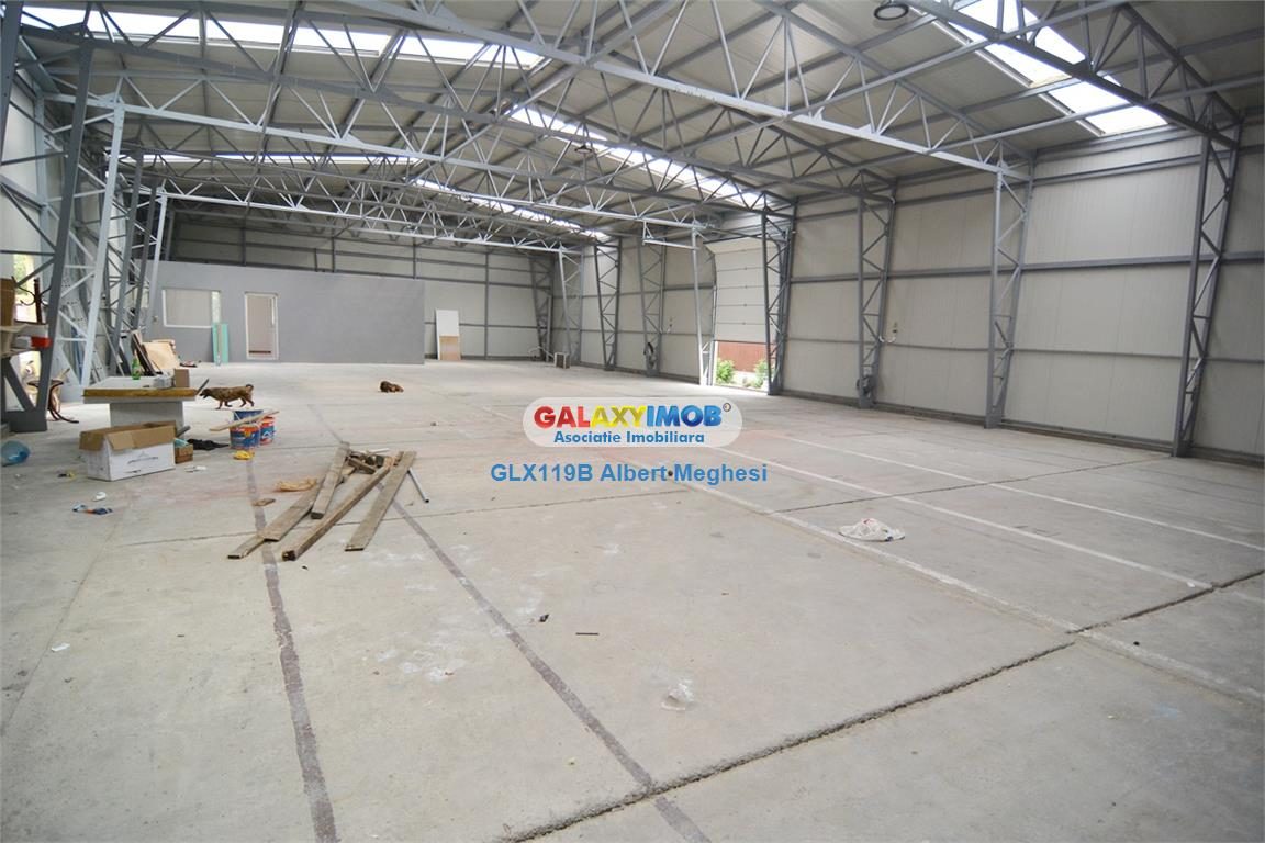 Inchiriere Hala 450 mp Popesti Leordeni platforma industriala - foto 3