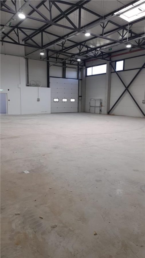 Chitila-Hala 964 mp,birouri 200 mp,curte 500 mp-toate utilitatile - foto 11