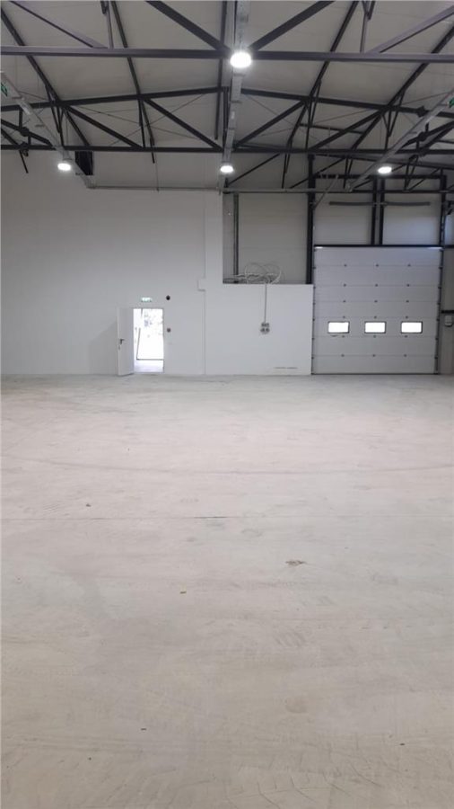 Chitila-Hala 964 mp,birouri 200 mp,curte 500 mp-toate utilitatile - foto 9