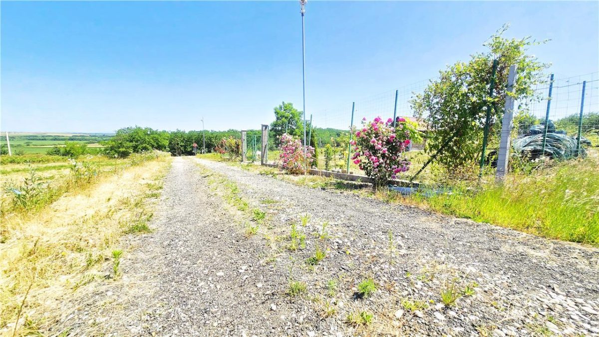 VIDEO | ?? Loc pentru casa, cabana sau cazare turistica in Ardud | Vedere de vis spre Satu Mare si padure - foto 12