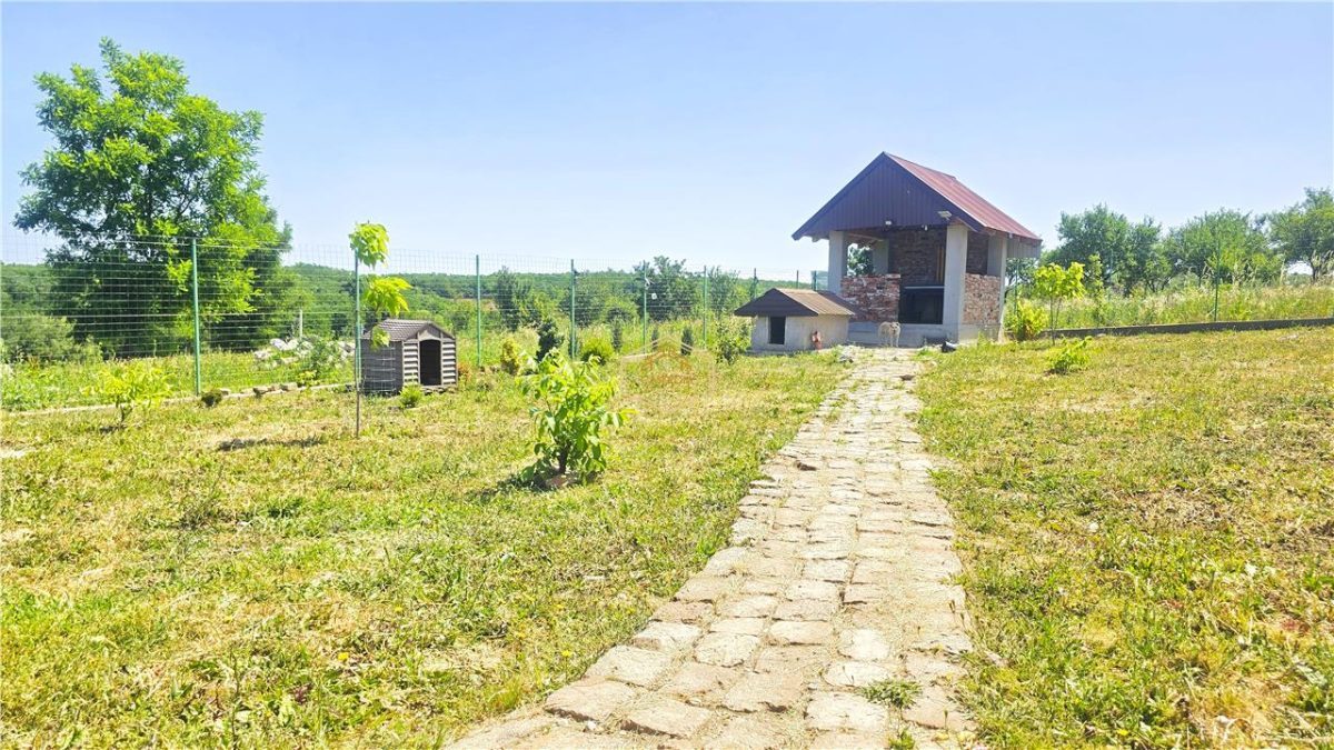 VIDEO | ?? Loc pentru casa, cabana sau cazare turistica in Ardud | Vedere de vis spre Satu Mare si padure - foto 13