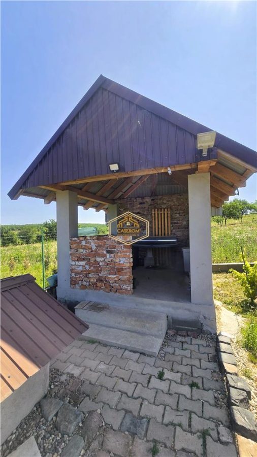 VIDEO | ?? Loc pentru casa, cabana sau cazare turistica in Ardud | Vedere de vis spre Satu Mare si padure - foto 15