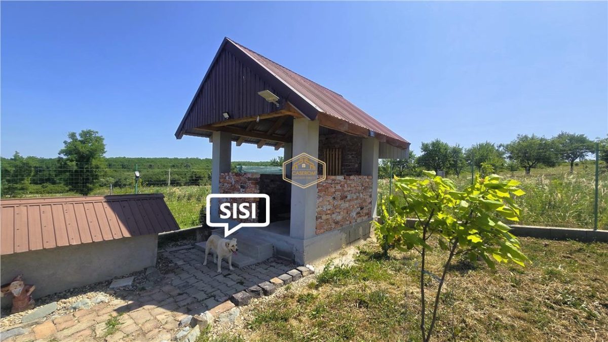 VIDEO | ?? Loc pentru casa, cabana sau cazare turistica in Ardud | Vedere de vis spre Satu Mare si padure - foto 17